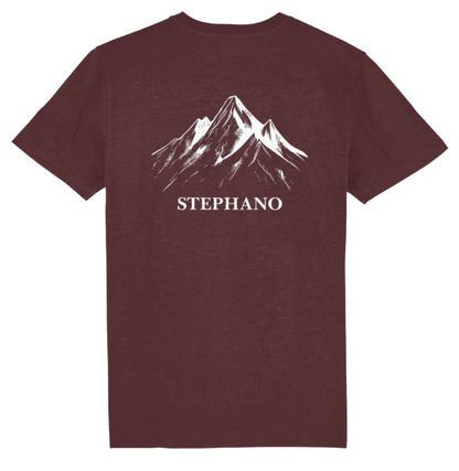  Stephano Mountain Tee burgundy achterkant